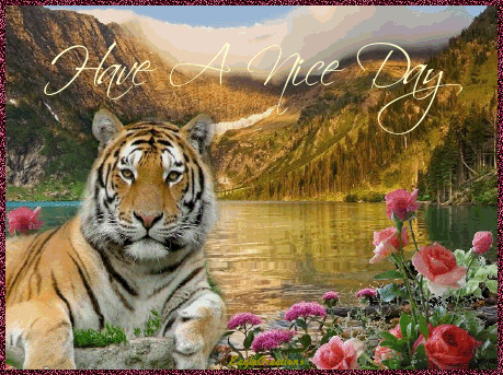 10 Beautiful Good Day Greetings - picture 7