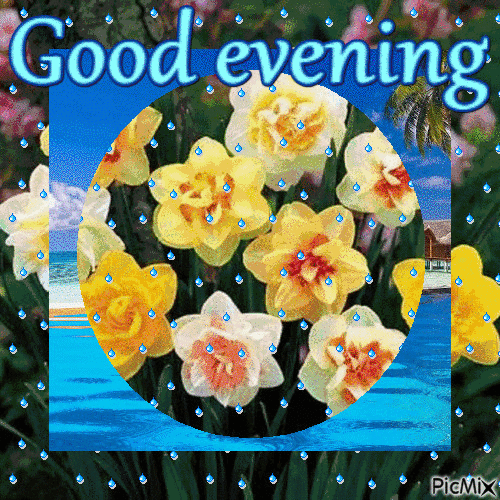 10 Beautiful Good Evening Animated Quotes - picture 3