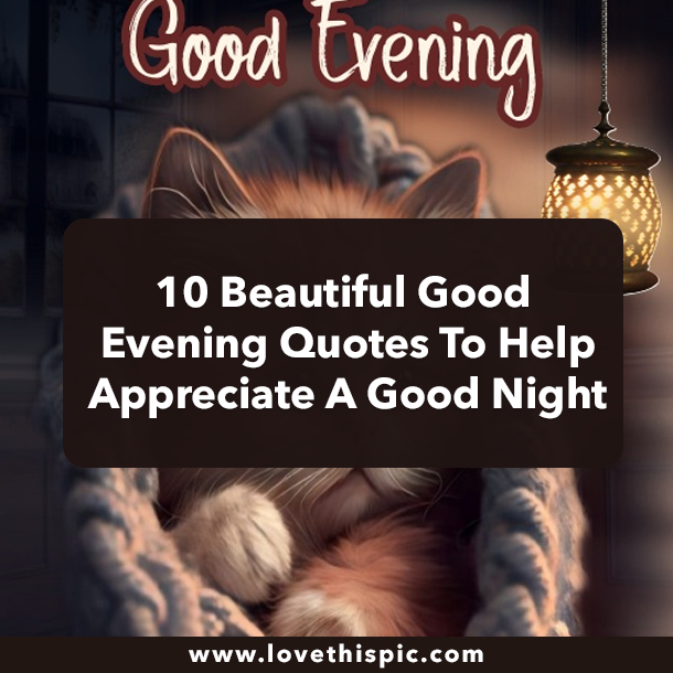 10 Beautiful Good Evening Quotes To Help Appreciate A Good Night