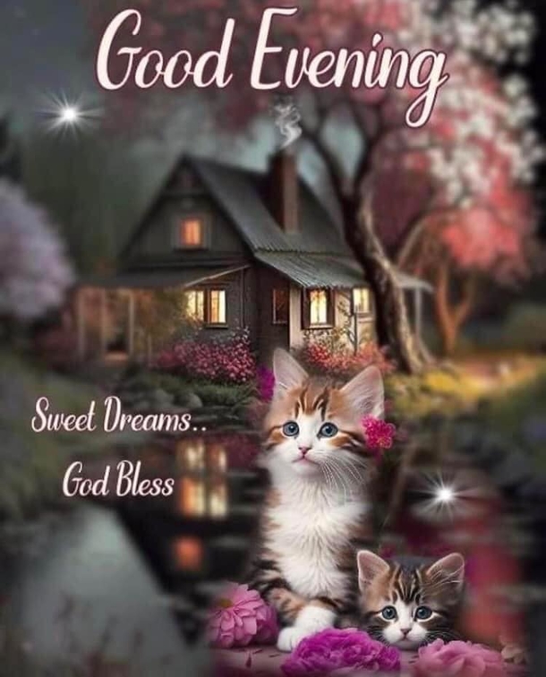 10 Beautiful Good Evening Quotes To Help Appreciate A Good Night - picture 10
