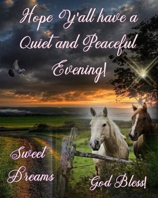 10 Beautiful Good Evening Quotes To Help Appreciate A Good Night - picture 2