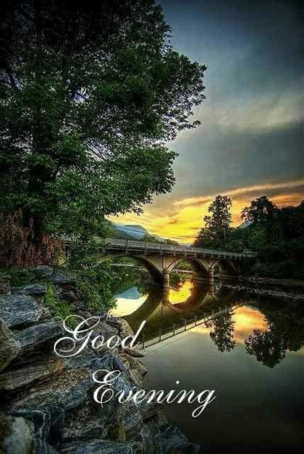 10 Beautiful Good Evening Quotes To Help Appreciate A Good Night - picture 5