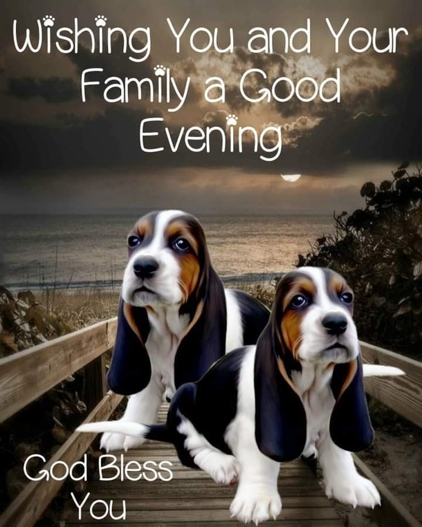 10 Beautiful Good Evening Quotes To Help Appreciate A Good Night - picture 7