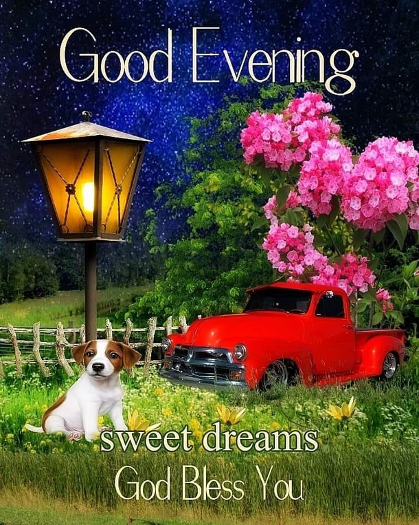 10 Beautiful Good Evening Quotes To Help Appreciate A Good Night - picture 8