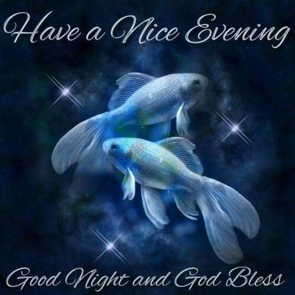 10 Beautiful Good Evening Quotes To Settle You In For The Night - picture 11