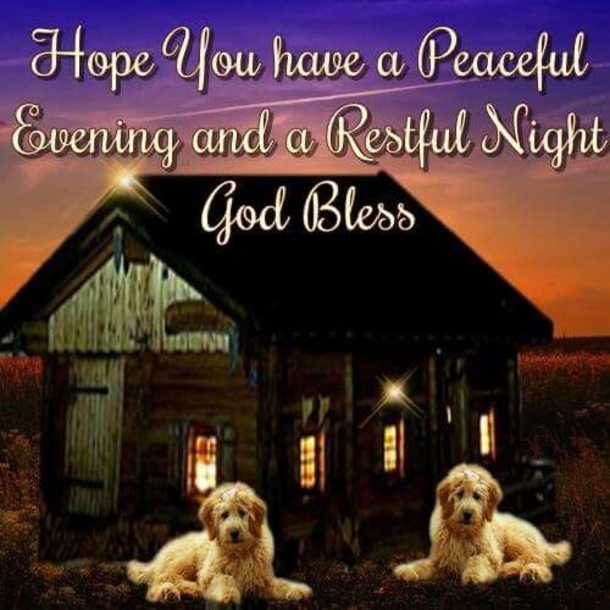 10 Beautiful Good Evening Quotes To Settle You In For The Night - picture 5