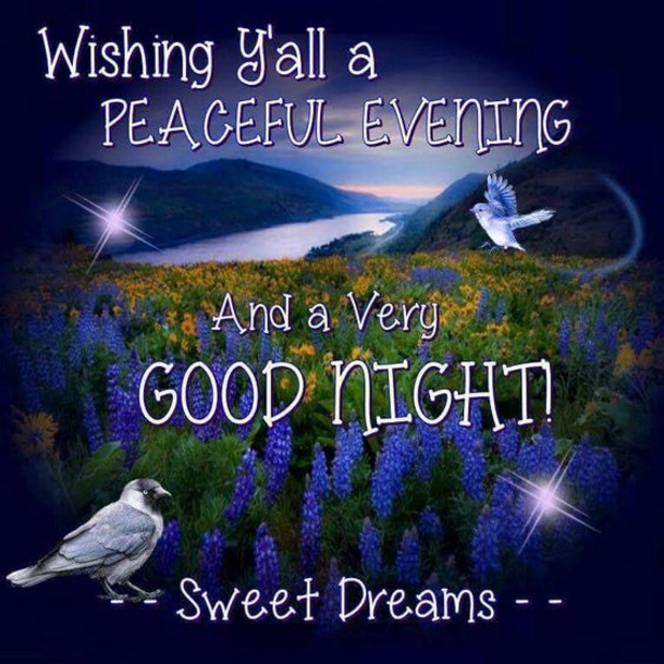 10 Beautiful Good Evening Quotes To Settle You In For The Night - picture 7