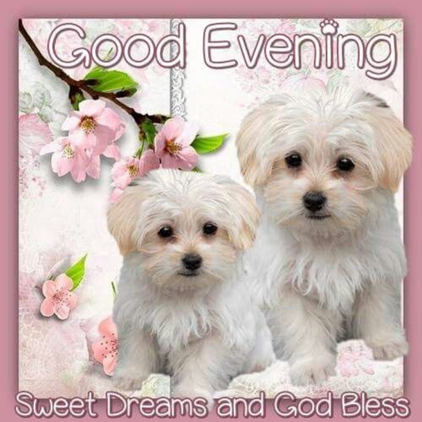 10 Beautiful Good Evening Quotes To Settle You In For The Night - picture 8