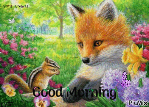 10 Beautiful Good Morning Gifs and Animations to Brighten Your Morning! - picture 10