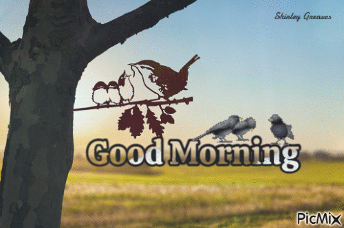 10 Beautiful Good Morning Gifs and Animations to Brighten Your Morning! - picture 2