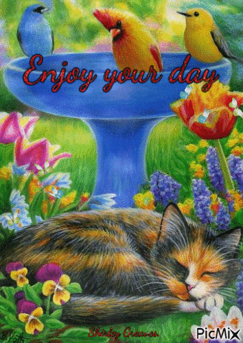 10 Beautiful Good Morning Gifs and Animations to Brighten Your Morning! - picture 4