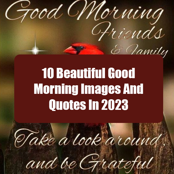 10 Beautiful Good Morning Images And Quotes In 2023