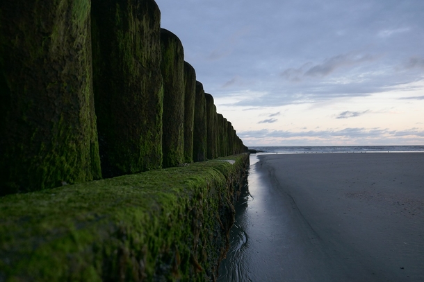 10 Beautiful Good Morning Photography Images - picture 11