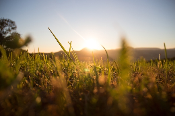 10 Beautiful Good Morning Photography Images - picture 3