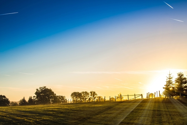 10 Beautiful Good Morning Photography Images - picture 4