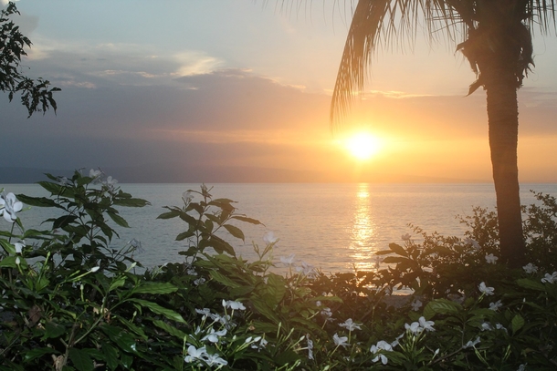 10 Beautiful Good Morning Photography Images - picture 7