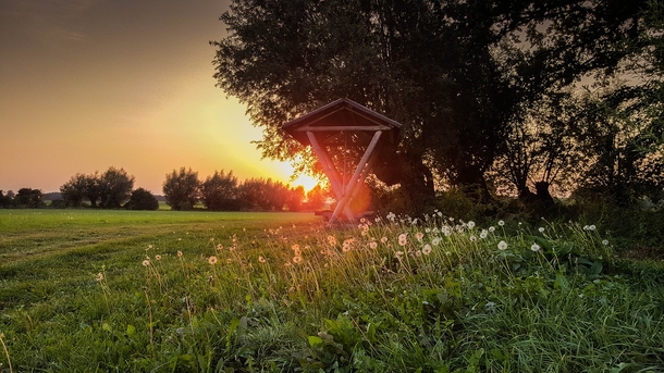 10 Beautiful Good Morning Photography Images - picture 8