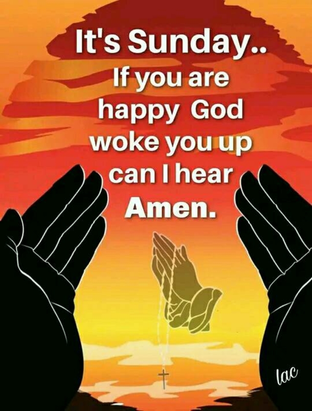 10 Beautiful Good Morning & Happy Sunday Greetings With Images - picture 11