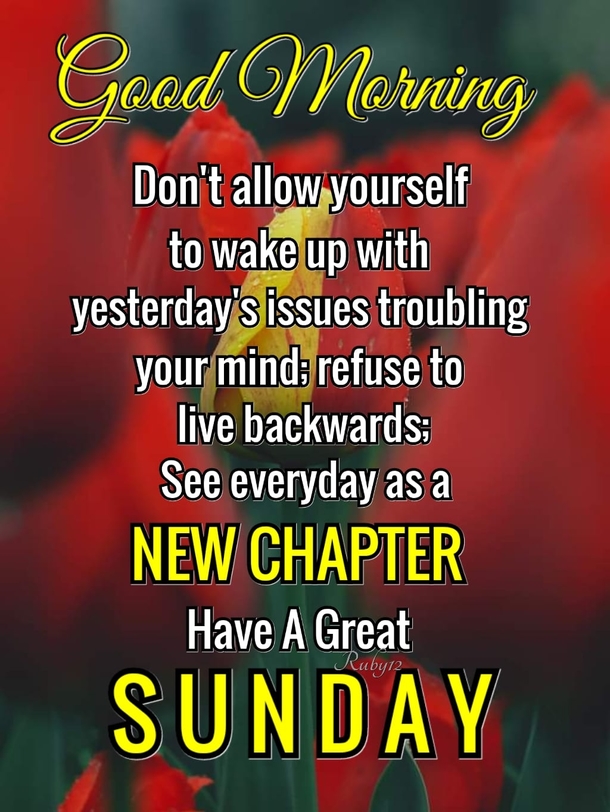 10 Beautiful Good Morning & Happy Sunday Greetings With Images - picture 2