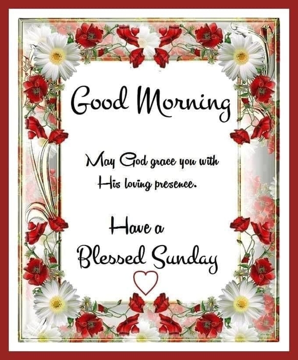 10 Beautiful Good Morning & Happy Sunday Greetings With Images - picture 3