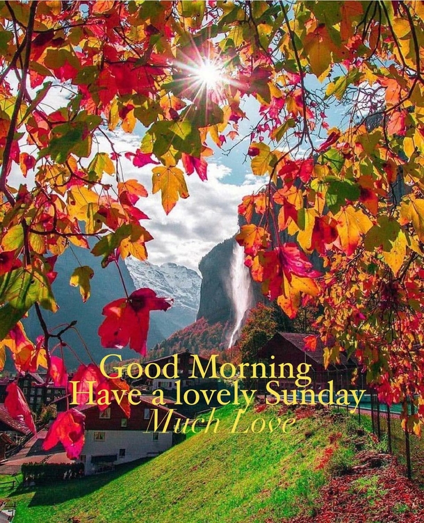 10 Beautiful Good Morning & Happy Sunday Greetings With Images - picture 4
