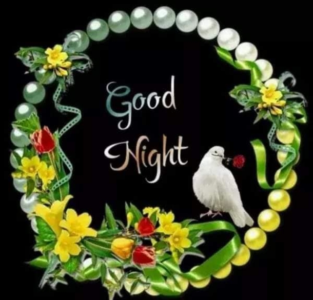 10 Beautiful Good Night Images And Quotes You'll Love - picture 11