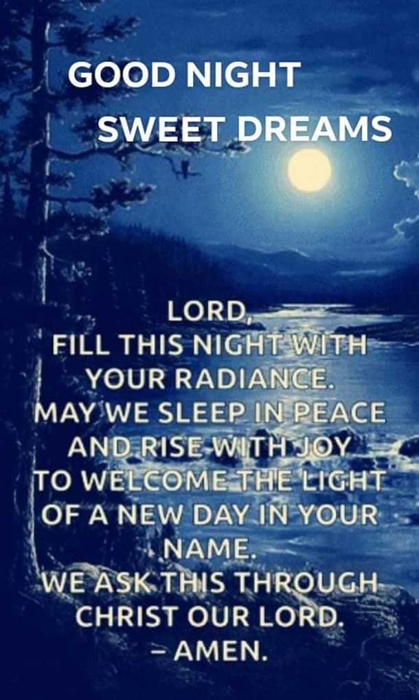 10 Beautiful Good Night Images And Quotes You'll Love - picture 2