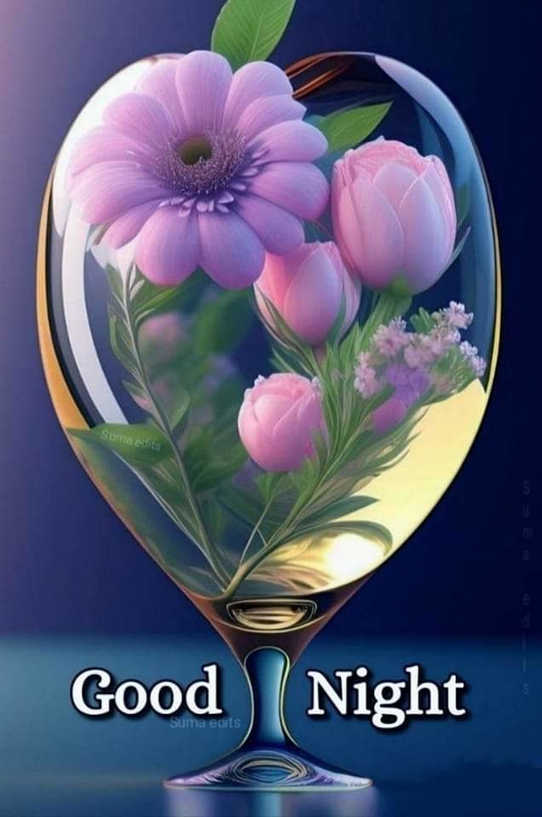 10 Beautiful Good Night Images And Quotes You'll Love - picture 8
