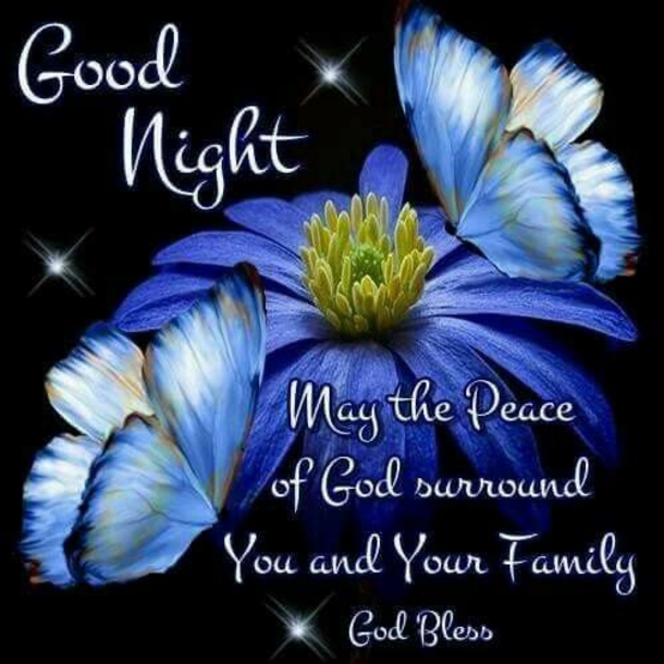 10 Beautiful Good Night Pictures & Images - picture 12