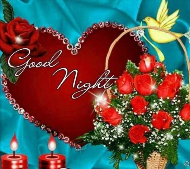 10 Beautiful Good Night Pictures & Images - picture 4