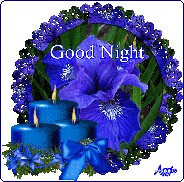 10 Beautiful Good Night Pictures & Images - picture 6