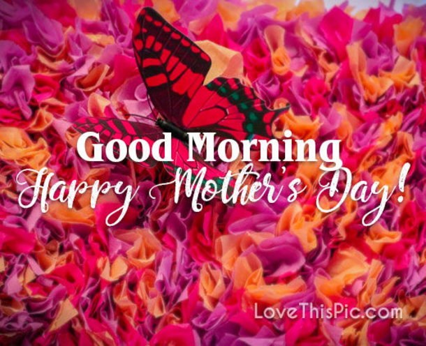 10 Beautiful Happy Mother's Day Quotes For 2022 - picture 8