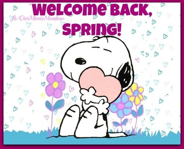 10 Beautiful Happy & Hello Spring Quotes - picture 10