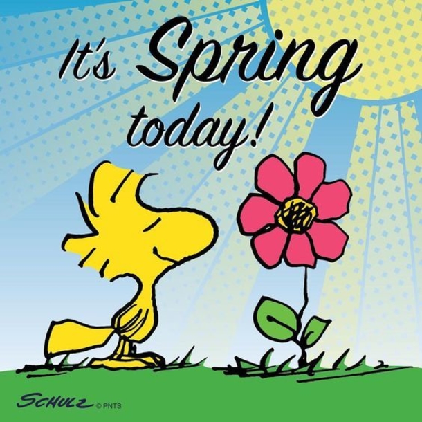 10 Beautiful Happy & Hello Spring Quotes - picture 12