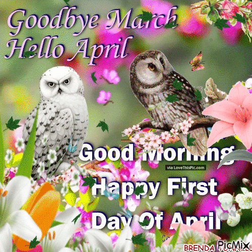 10 Beautiful Hello April Animated Quotes - picture 9