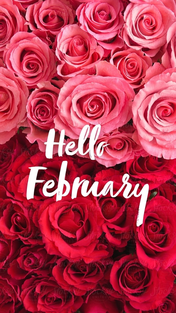 10 Beautiful Hello February Messages For 2023 - picture 3