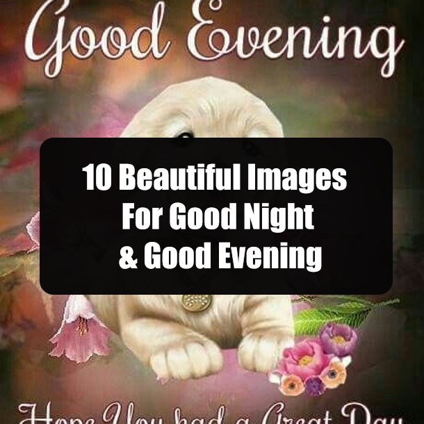 10 Beautiful Images For Good Night & Good Evening