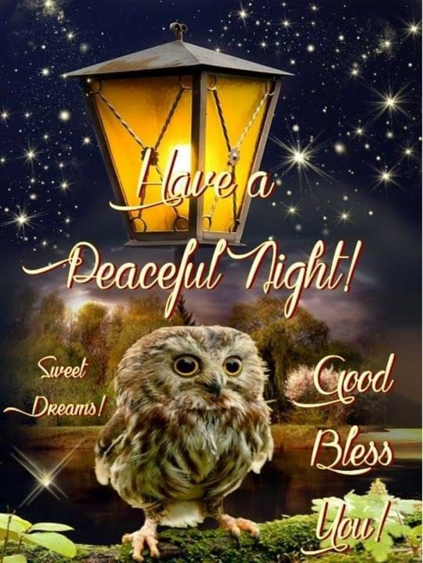 10 Beautiful Images For Good Night & Good Evening - picture 2