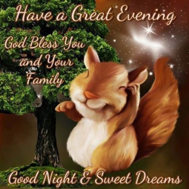 10 Beautiful Images For Good Night & Good Evening - picture 3