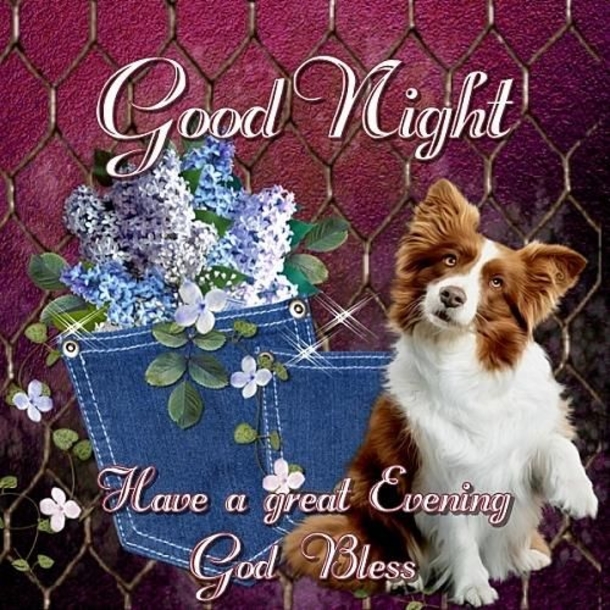 10 Beautiful Images For Good Night & Good Evening - picture 4