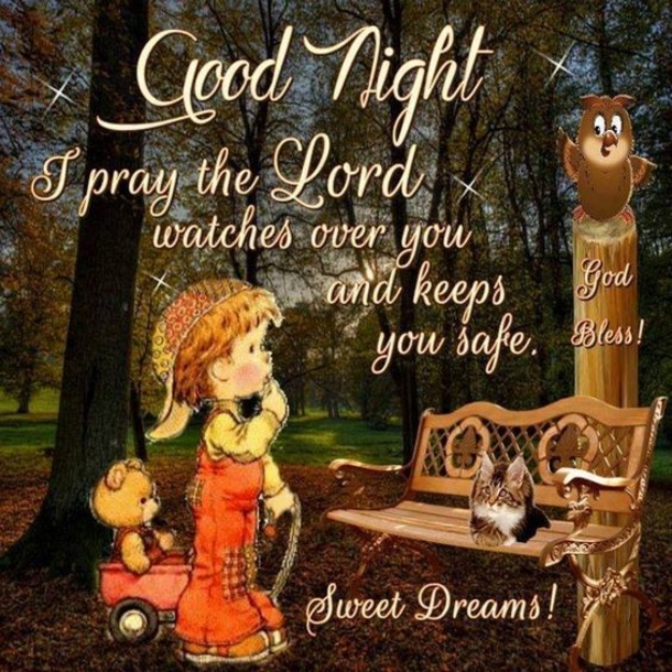 10 Beautiful Images For Good Night & Good Evening - picture 7
