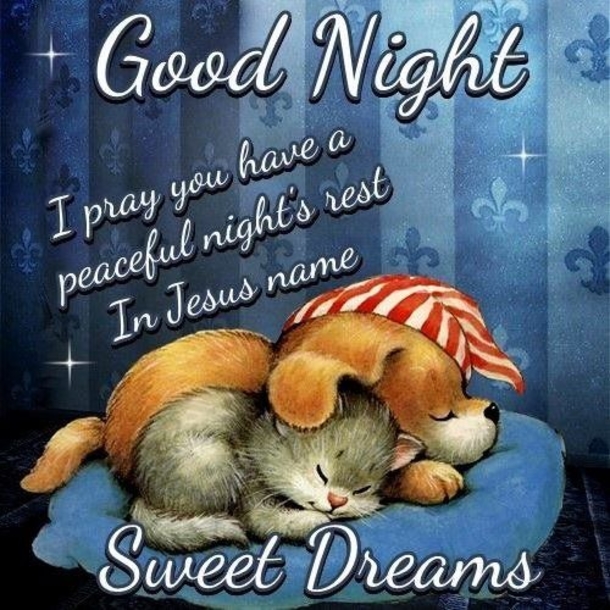 10 Beautiful Images For Good Night & Good Evening - picture 8