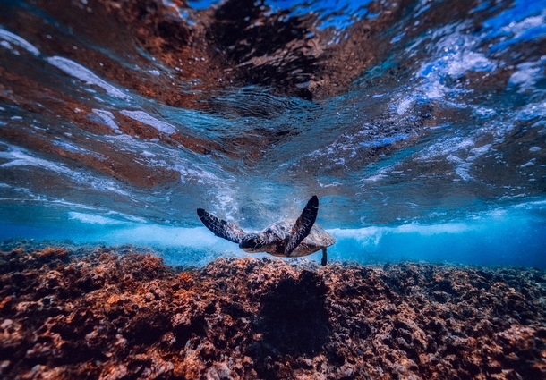 10 Beautiful Images That Reflect Happiness And Life - picture 10