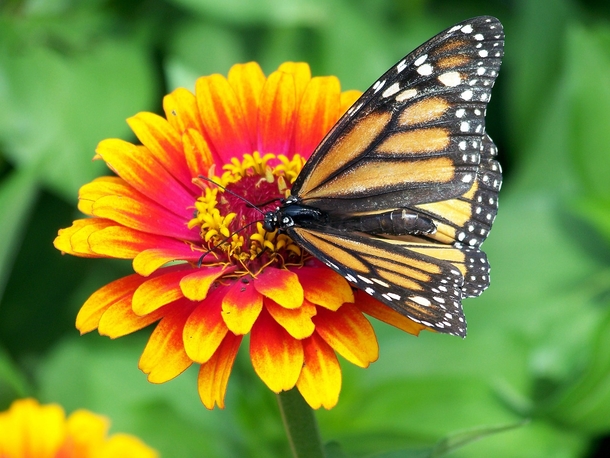 10 Beautiful Images That Reflect Happiness And Life - picture 11