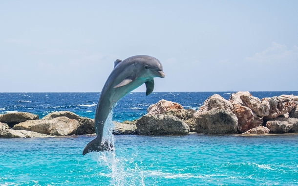 10 Beautiful Images That Reflect Happiness And Life - picture 14