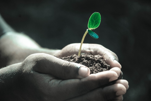 10 Beautiful Images That Reflect Happiness And Life - picture 2