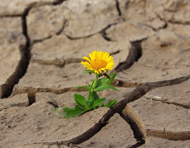 10 Beautiful Images That Reflect Happiness And Life - picture 3