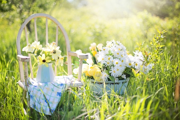 10 Beautiful Images That Reflect Happiness And Life - picture 5