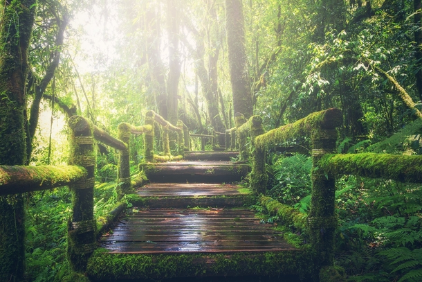 10 Beautiful Landscapes & Scenes Of Nature - picture 4