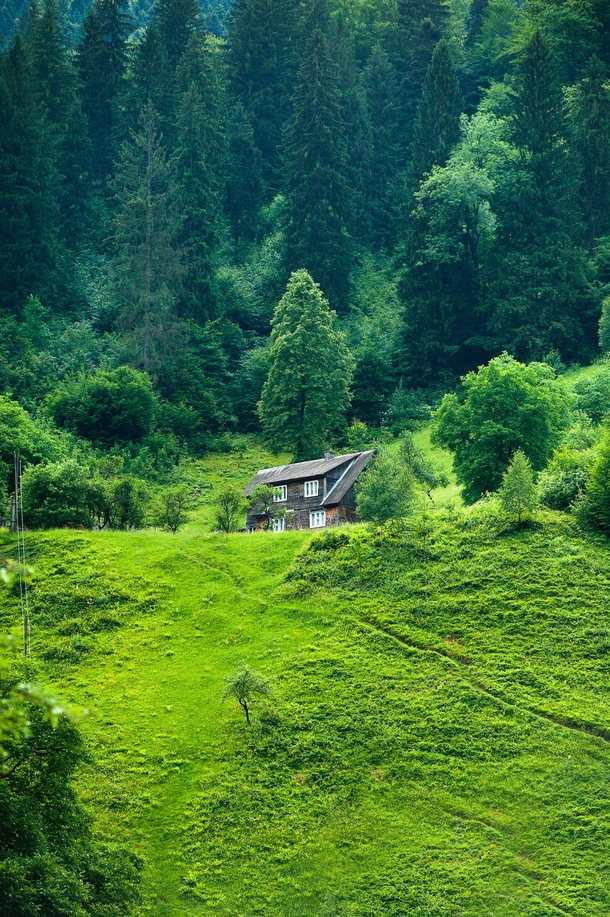 10 Beautiful Landscapes & Scenes Of Nature - picture 6